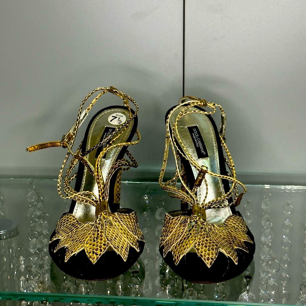 Dolce and Gabbana size 7.5 snake skin women shoes